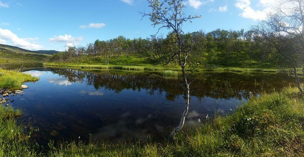 فيلا Mikkelvik Brygge Mikkelvika المظهر الخارجي الصورة